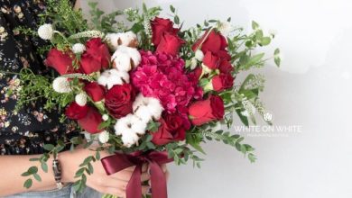 15cb9586 4ad2 4f23 a940 a3f729a74c66