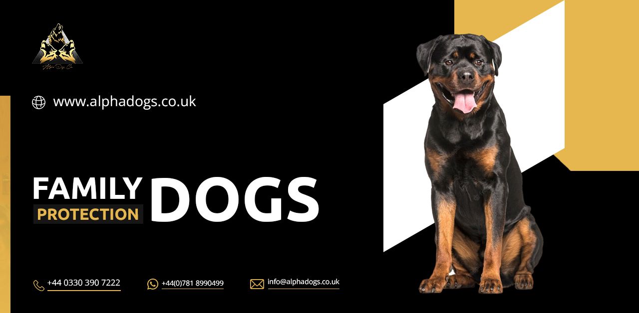 WhatsApp Image 2023 03 08 at 17.48.06