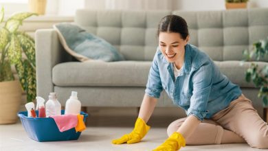 woman doing cleaning the house