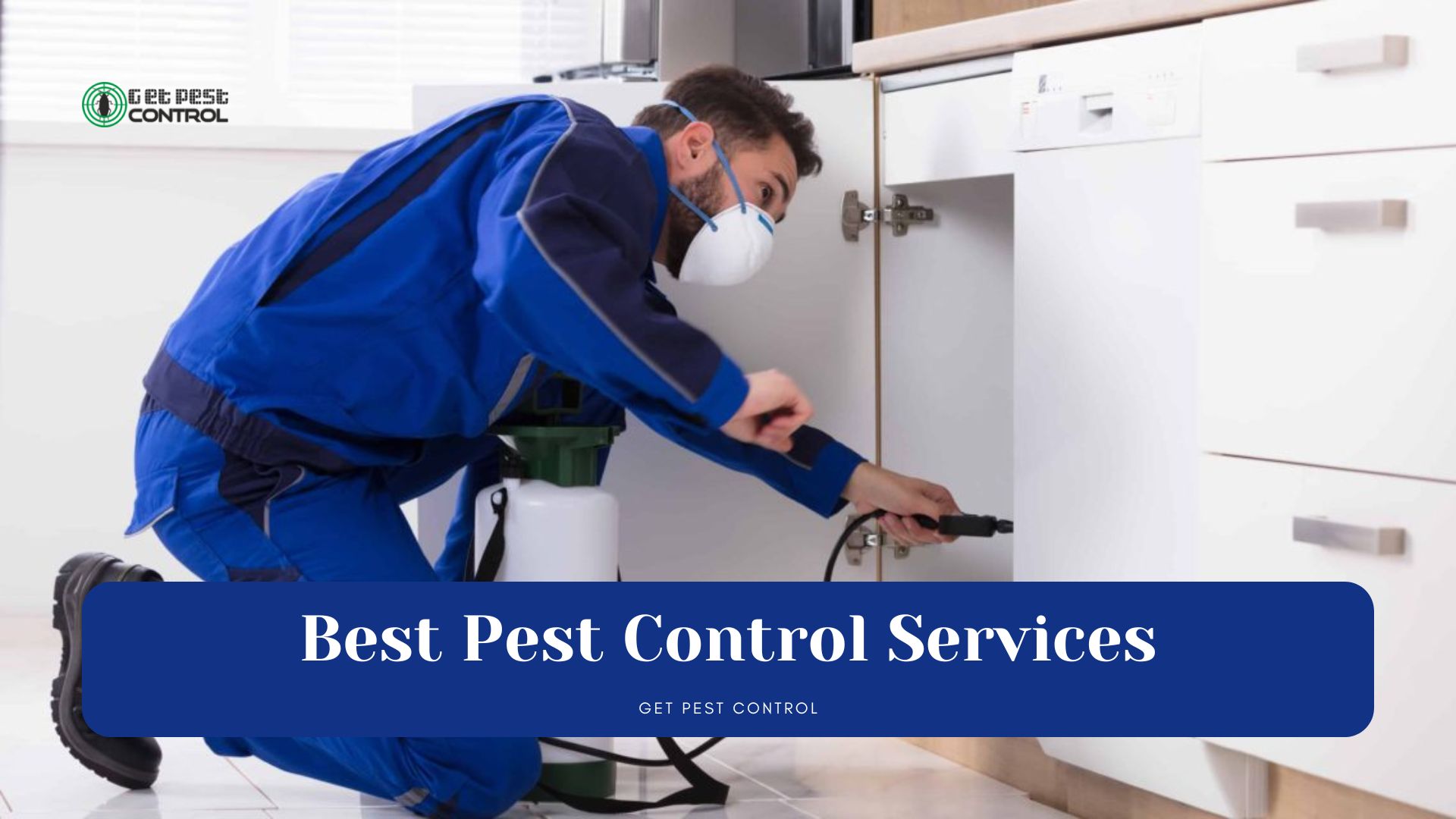 7 Important Things to Know While Hiring the Pest Control Company