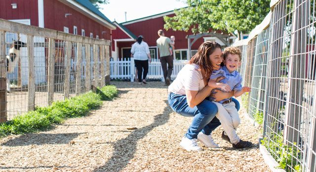 family activities in western Massachusetts