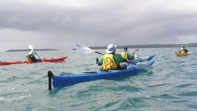 Best Kayaking Gear