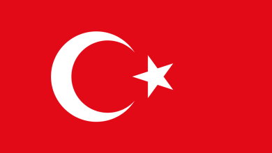 Understanding Turkey Visa Validity for Business Visitors