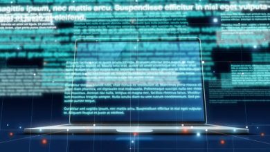 WebtrafficSoftware Info