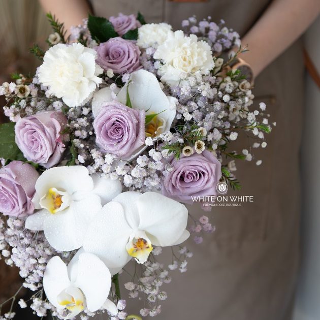 WhatsApp Image 2024 01 31 at 3.13.42 PM 1