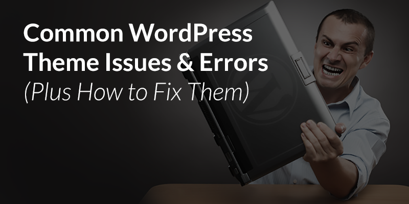 common wp theme issues and errors