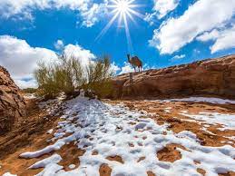 A Guide for Icelandic and Irish Citizens