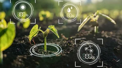 Biochar Naturale: Transforming Agricultural Practices for Better Crops