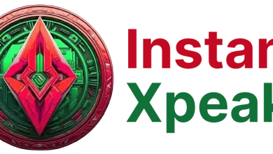 insxpeak logo