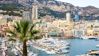 istockphoto 955009768 612x612 1