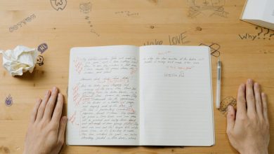 Highest Essay Writing