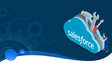Salesforce Customization
